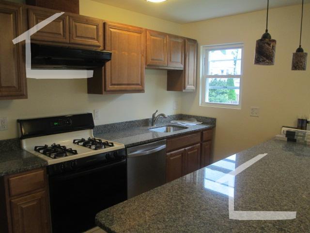 5 Donnybrook Rd, Unit 1 in Boston, MA - Building Photo - Building Photo
