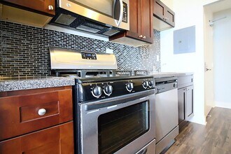 1301 N Ritchie Ct in Chicago, IL - Foto de edificio - Building Photo