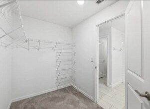 12609 Maple Bonsai Dr in Riverview, FL - Building Photo - Building Photo