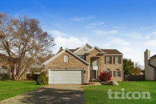 244 Paradise Pkwy in Oswego, IL - Building Photo