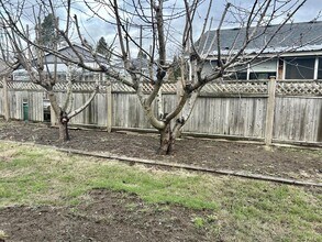 6471 Portal Manor Dr in Ferndale, WA - Building Photo - Building Photo