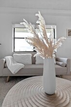 321 Wilson St in Hollywood, FL - Foto de edificio - Building Photo