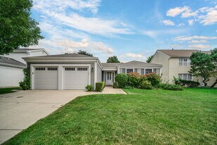 933 Shambliss Ln in Buffalo Grove, IL - Building Photo