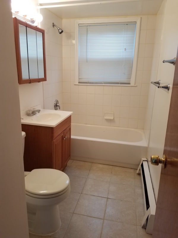 4147 Lindenwood Dr in Matteson, IL - Foto de edificio - Building Photo