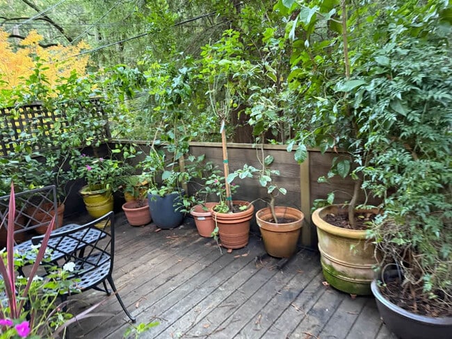 522 Cascade Dr in Mill Valley, CA - Building Photo - Building Photo