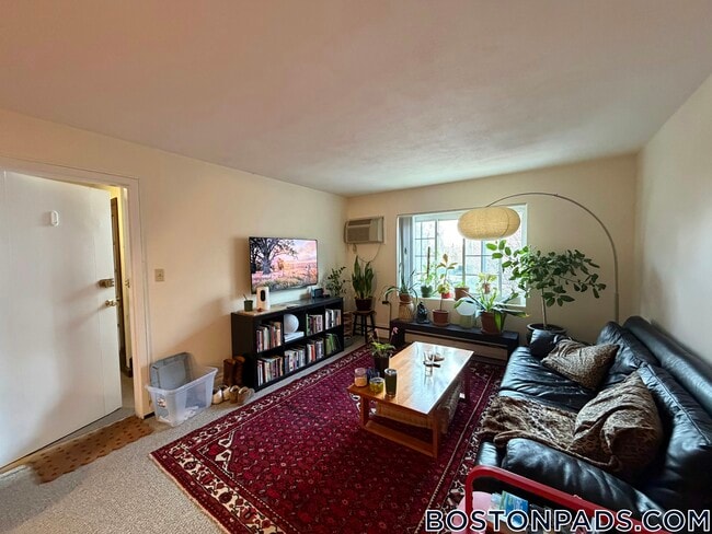 8 Brattle Dr in Arlington, MA - Building Photo - Building Photo