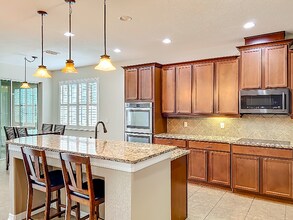 3513 Bunchberry Way in Ocoee, FL - Building Photo - Building Photo