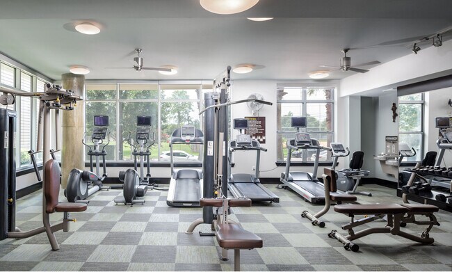 Memorial Hills photo'