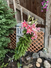 6257 Smith Rd in Berrien Center, MI - Building Photo - Building Photo