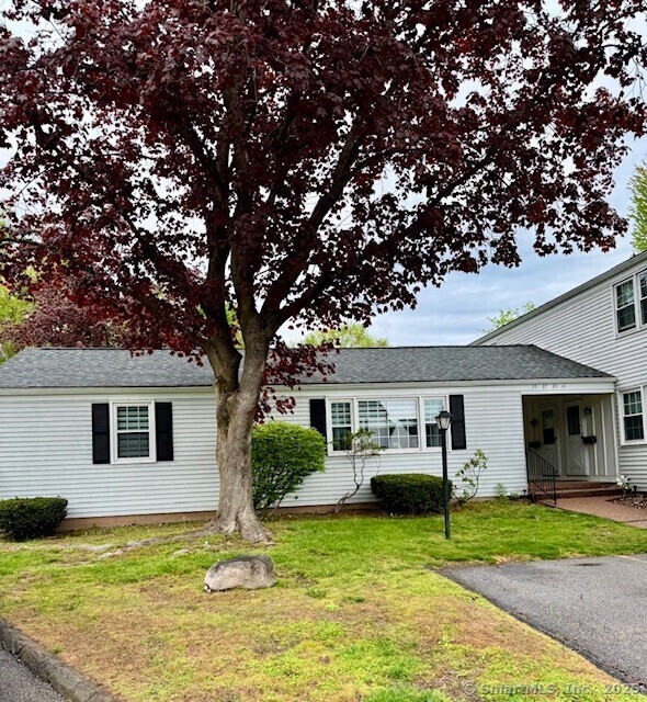property at 41 Butternut Dr