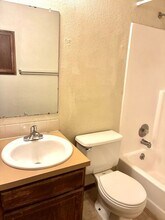 4918 Basswood Dr in Loveland, CO - Foto de edificio - Building Photo