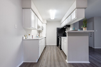 Cricket Hollow Apartments in Austin, TX - Building Photo - Interior Photo