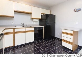 1931 Blackthorn Dr in Champaign, IL - Building Photo - Building Photo