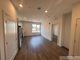 269 E Cottage St, Unit 1 in Boston, MA - Building Photo
