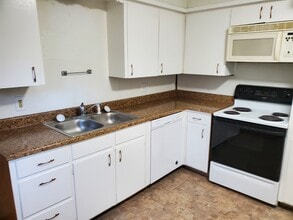 226 N Nicollet St in Blue Earth, MN - Foto de edificio - Building Photo