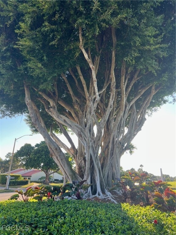 property at 4100 Steamboat Bend E