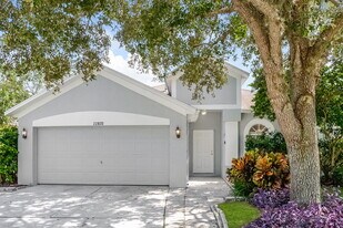 22820 Marsh Wren Dr in Land O Lakes, FL - Building Photo