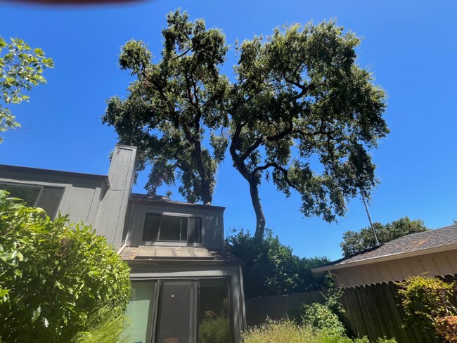 1421 Elm Dr in Novato, CA - Foto de edificio - Building Photo