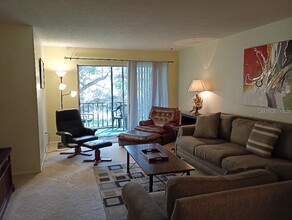 865 Virginia Ct in Dunedin, FL - Building Photo - Building Photo