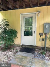 701 Bayside Dr in Stevensville, MD - Building Photo - Building Photo