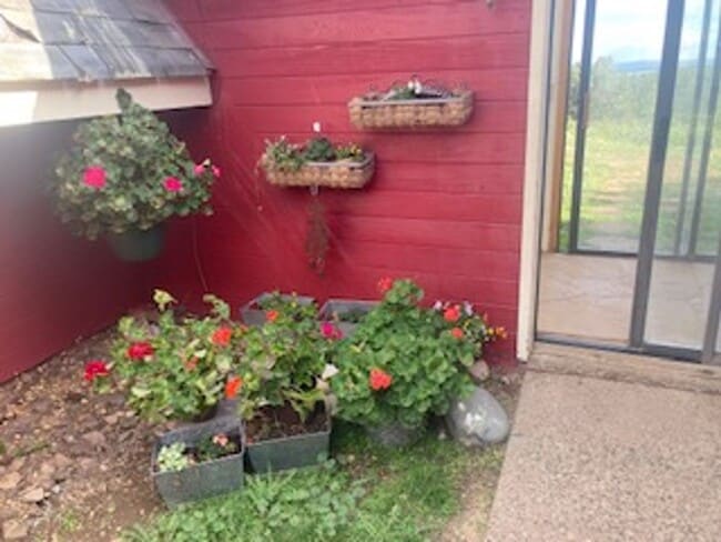 701 Rincon Ridge Rd in Durango, CO - Building Photo - Building Photo