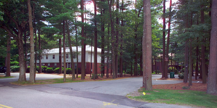 Pine Tree Gardens in Foxboro, MA - Foto de edificio - Building Photo