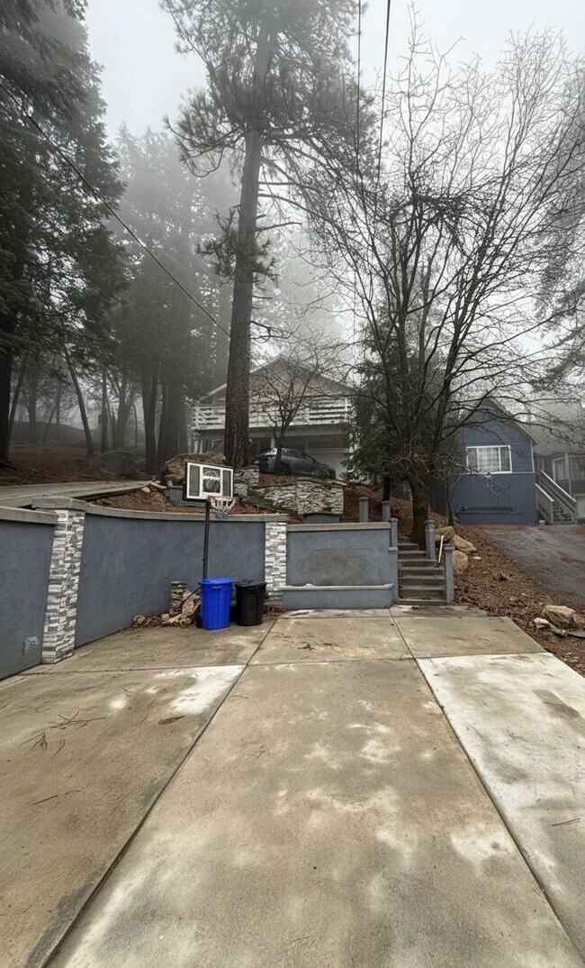 27464 Meadow Dr in Lake Arrowhead, CA - Building Photo - Building Photo