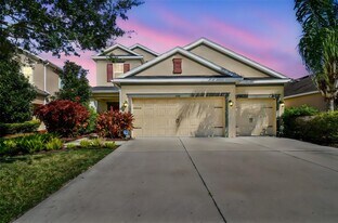 33181 Shadow Branch Ln in Wesley Chapel, FL - Building Photo