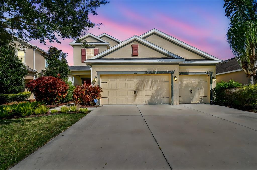 33181 Shadow Branch Ln in Wesley Chapel, FL - Building Photo