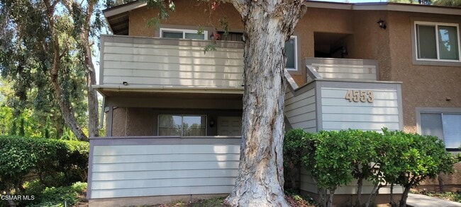 property at 4553 Alamo St