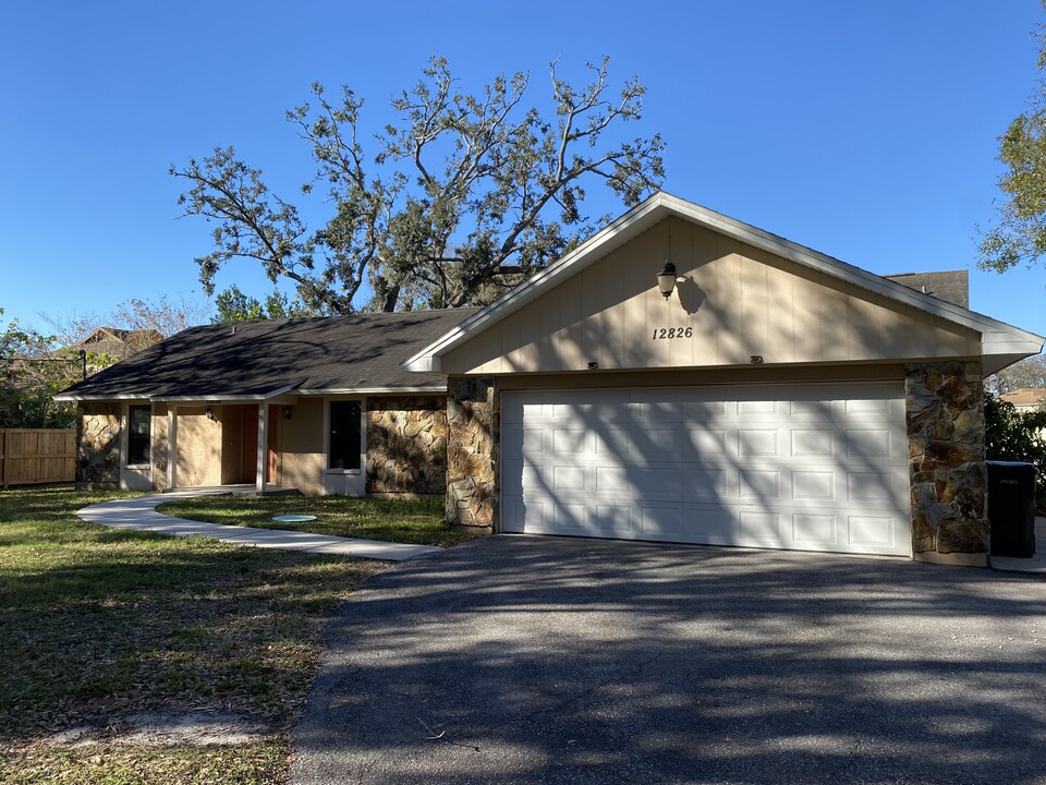 12826 Olive Jones Rd in Tampa, FL - Building Photo