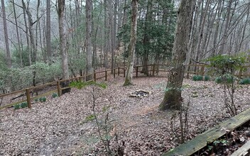 796 Lemmon Ln in Ellijay, GA - Building Photo - Building Photo