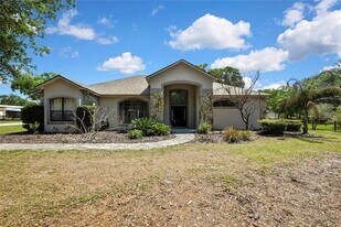 18401 N 30th St in Lutz, FL - Building Photo