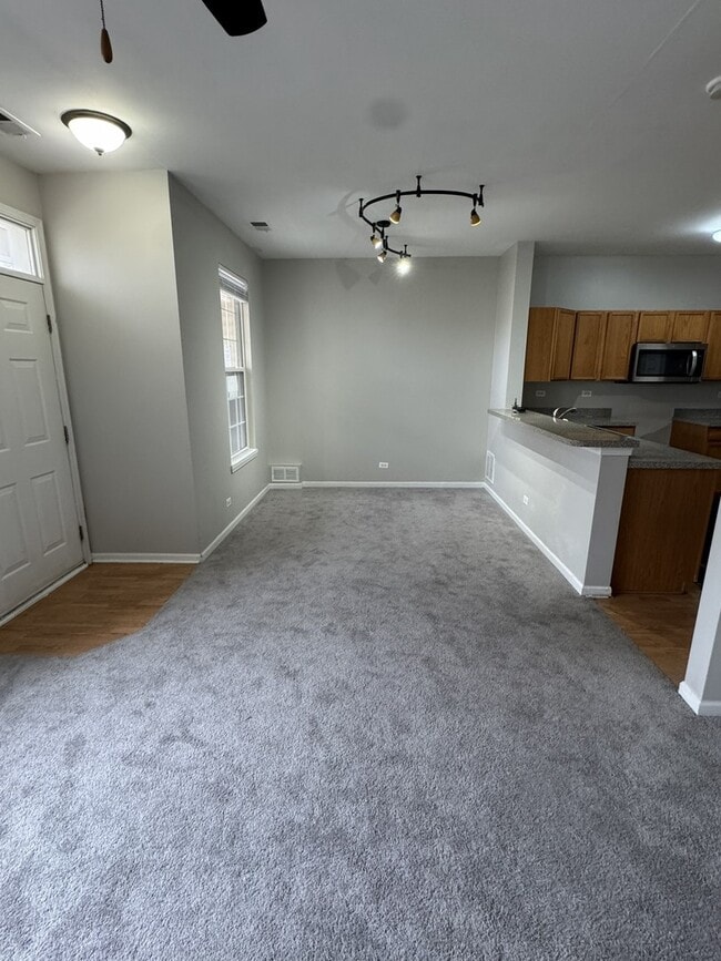 309 Springbrook Trail S in Oswego, IL - Building Photo - Building Photo