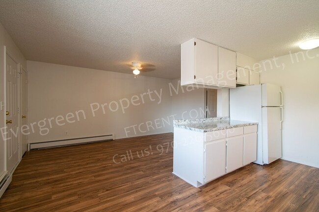 1428 S California Ave in Loveland, CO - Building Photo - Building Photo