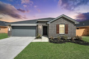 9035 Rose Water Trl in Iowa Colony, TX - Building Photo