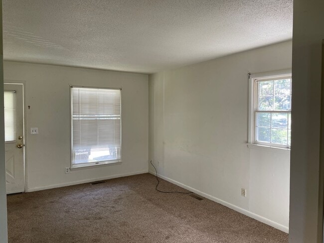 406 W Chestnut St in Carbondale, IL - Building Photo - Building Photo