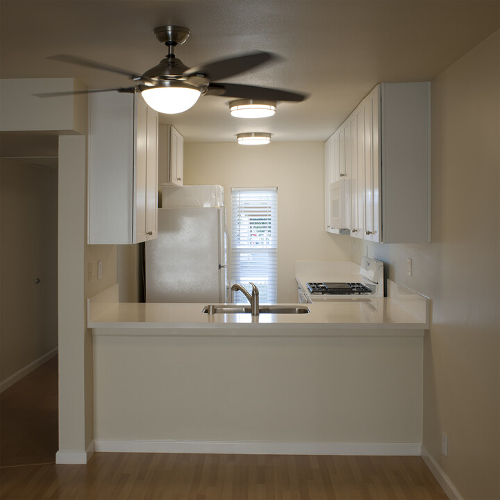 426 Orange Blossom in Irvine, CA - Building Photo