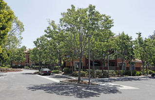 Rosewood Terrace Apartments