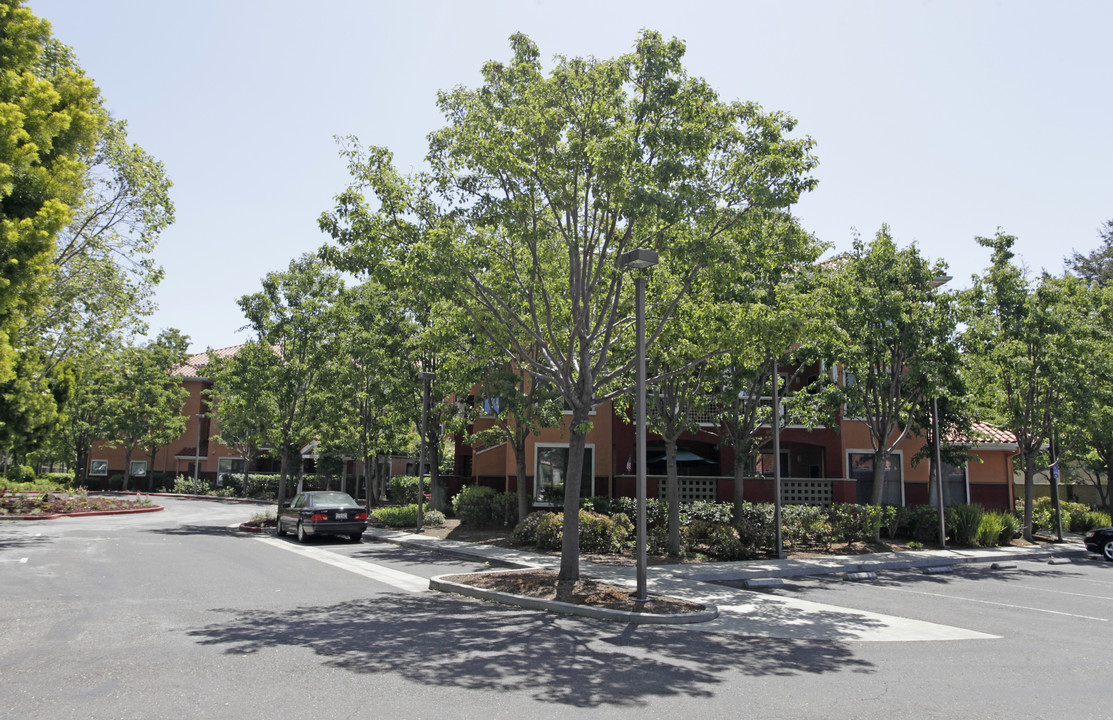 Rosewood Terrace in Union City, CA - Building Photo