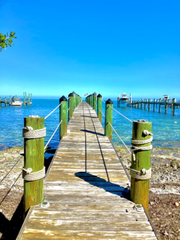 property at 232 Tarpon St