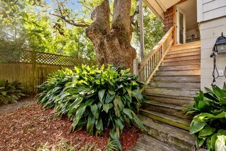 1338 Wolfe St in Jacksonville, FL - Foto de edificio - Building Photo