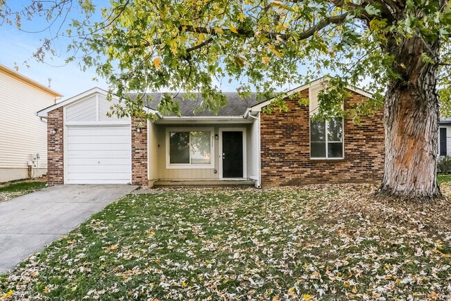 3117 Falcon Bridge Dr