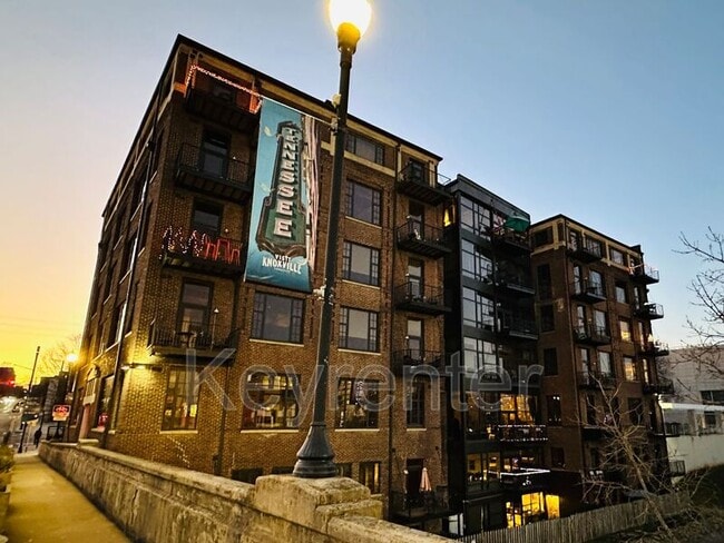 1060 Worlds Fair Park Dr in Knoxville, TN - Building Photo - Building Photo