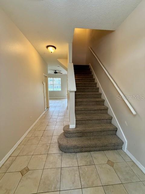 2947 Pointeview Dr in Tampa, FL - Building Photo - Building Photo