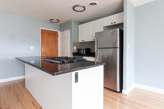 655 W Grace St, Unit 510 in Chicago, IL - Building Photo - Building Photo
