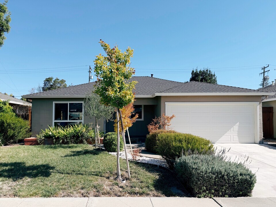 715 Bucher Ave in Santa Clara, CA - Building Photo