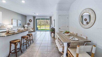 32615 Turtle Grace Loop in Wesley Chapel, FL - Building Photo - Building Photo