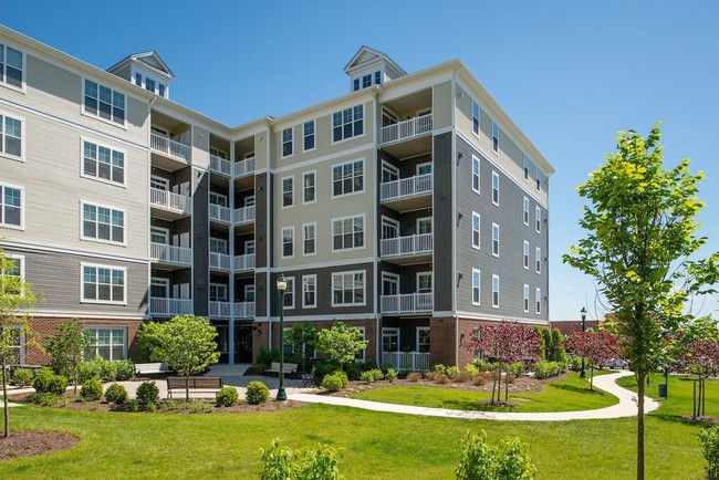 The Elms at Clarksburg Village Encore in Clarksburg, MD - Building Photo - Building Photo