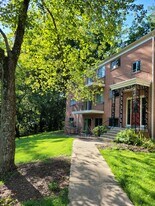 10684 Weymouth St in Bethesda, MD - Building Photo